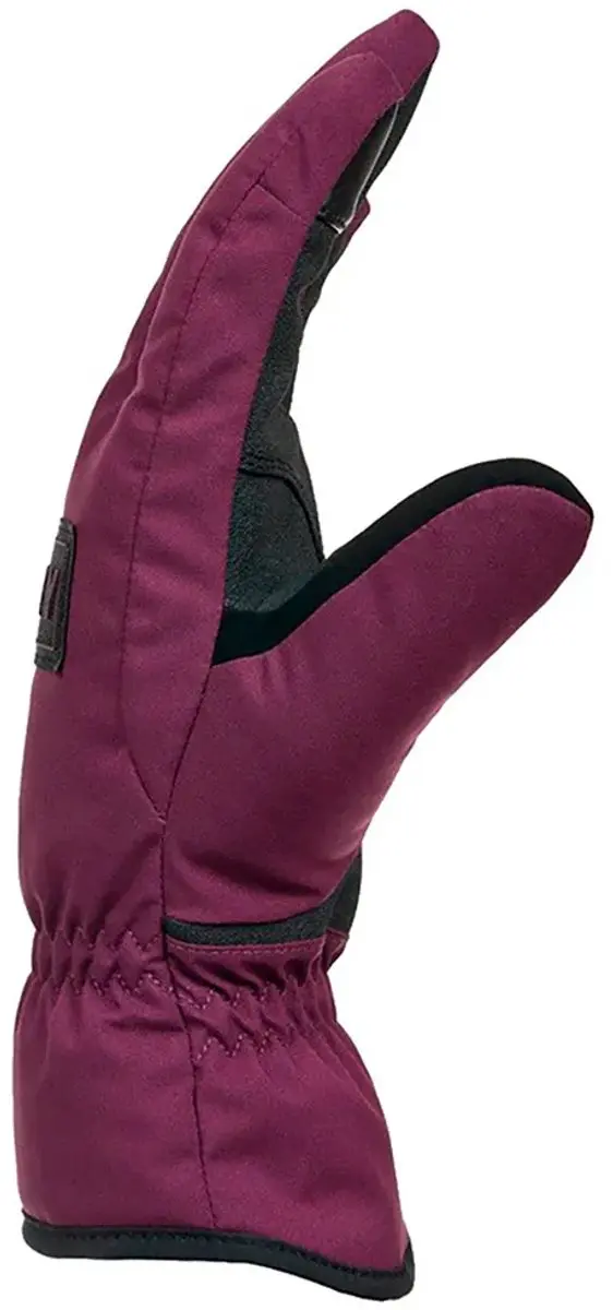 Roxy Freshfield Handschoenen - Paars L - afbeelding 2 van 2