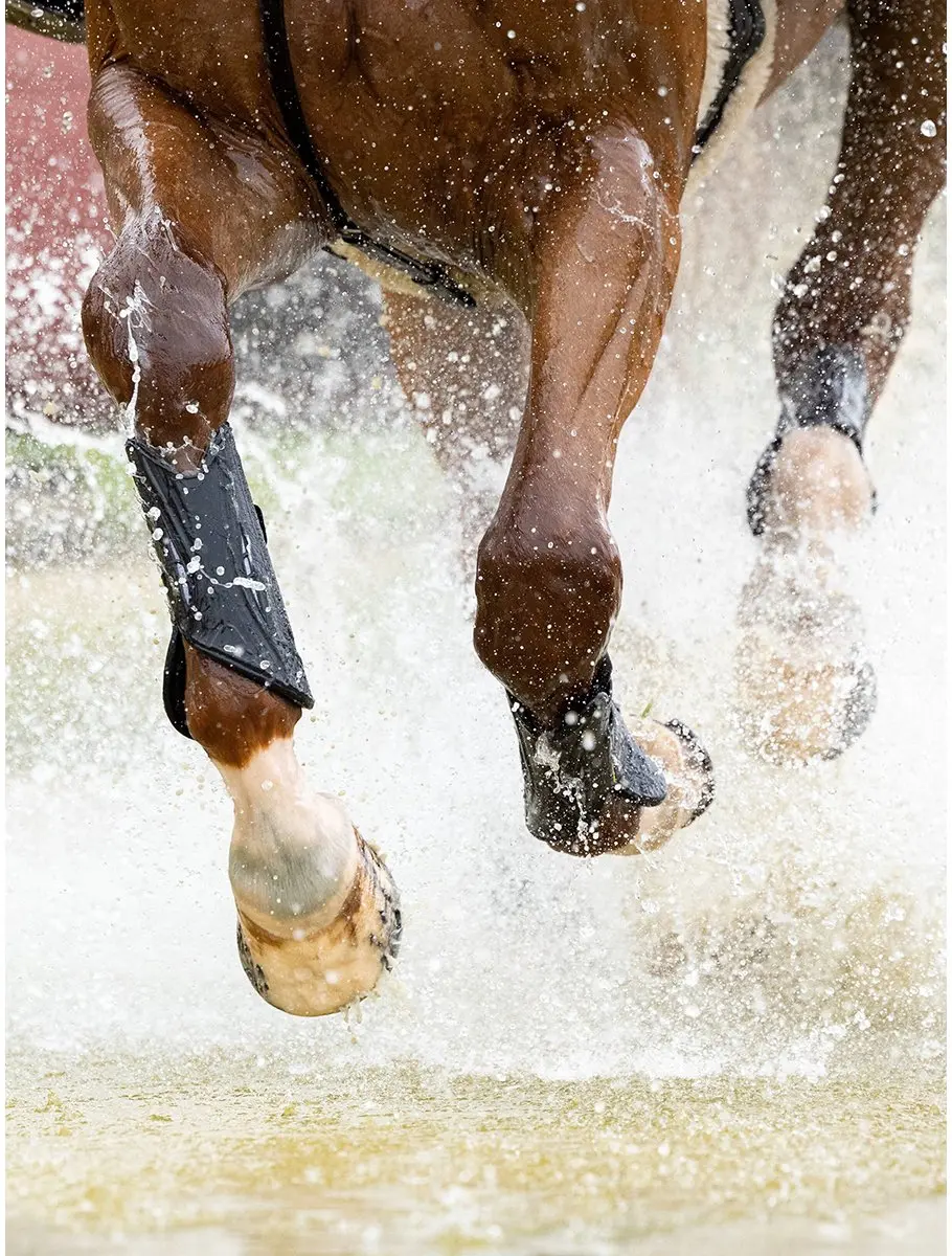Lemieux Mimsafe Xc Beenbeschermers Front - M - Zwart
