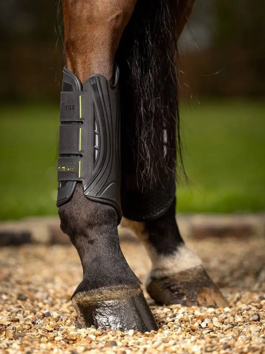 Lemieux Mimsafe Xc Beenbeschermers Front - M - Zwart - afbeelding 6 van 6
