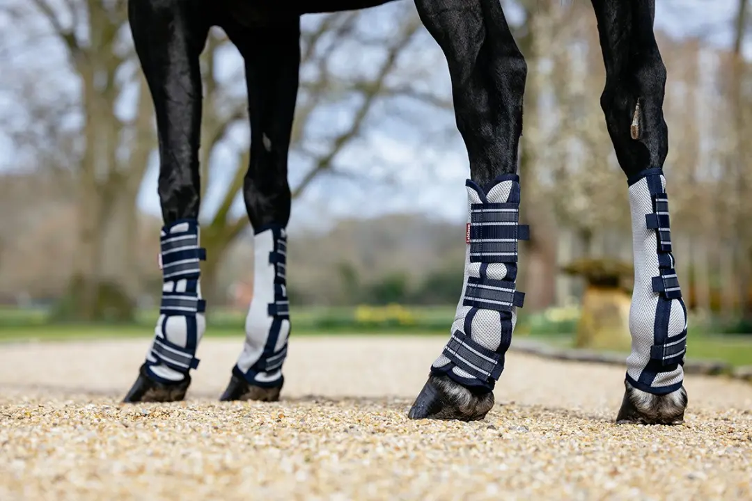 Lemieux Arika Mesh Beenbeschermers M - Donkerblauw - afbeelding 3 van 5