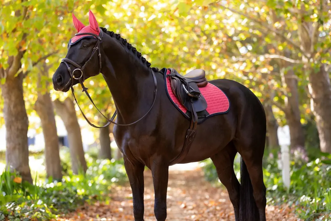 Lemieux Oornetje Classic Cranberry - Full
