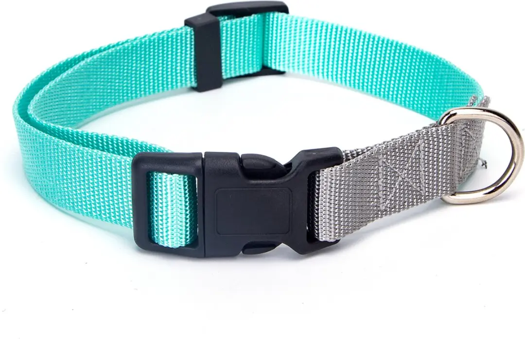 Nobleza Hondenhalsband Maat S
