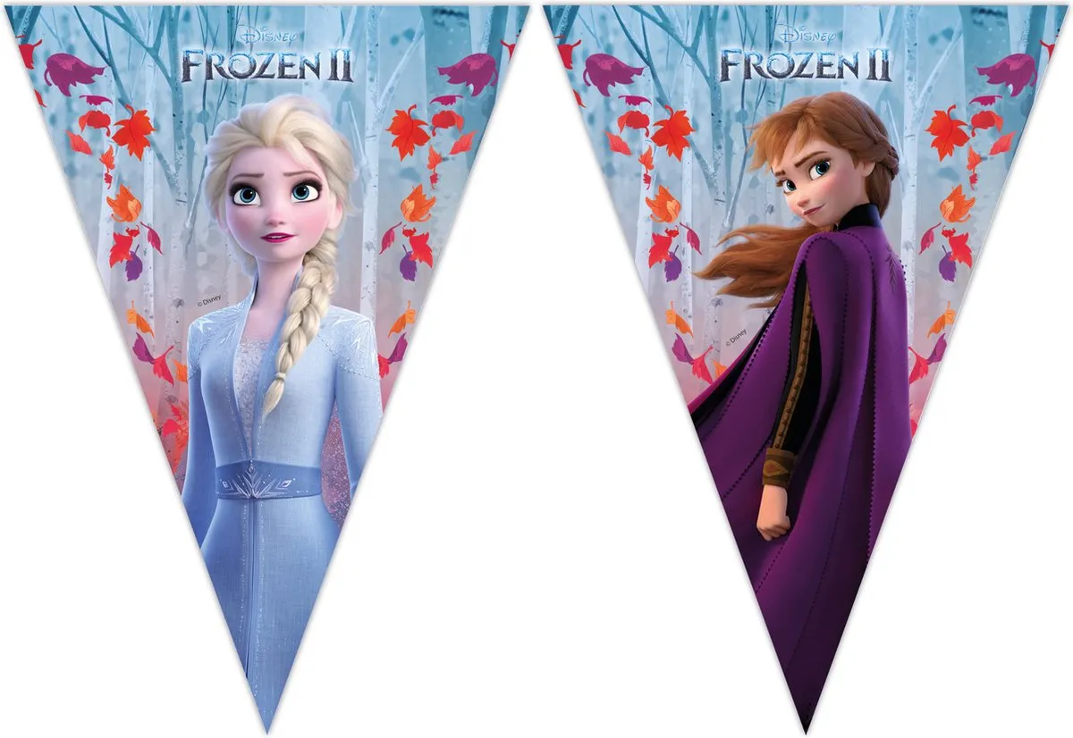 Disney Frozen 2 Vlaggenlijn 2m