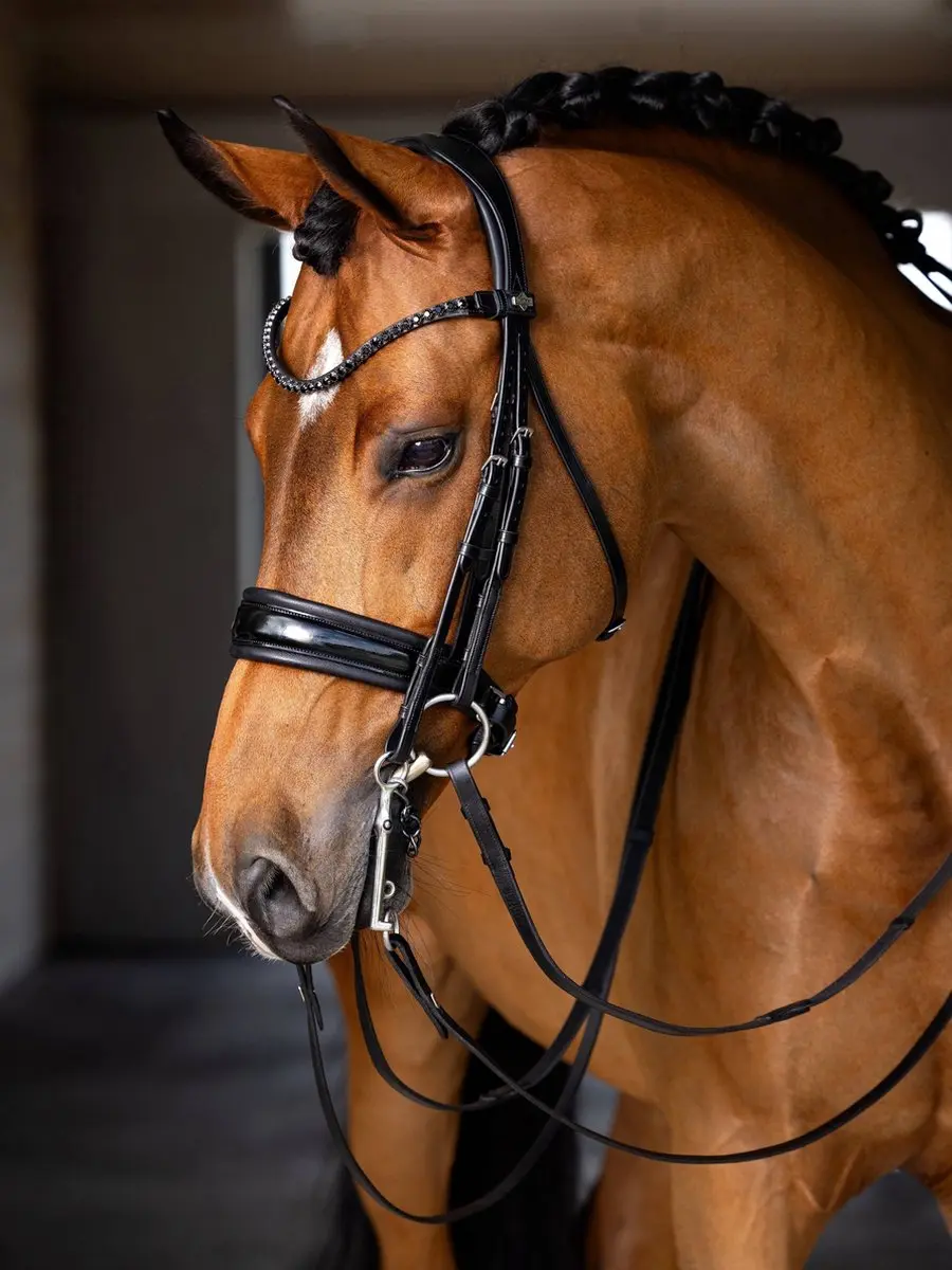 LeMieux Kudos Stang & Trens Full - Zwart