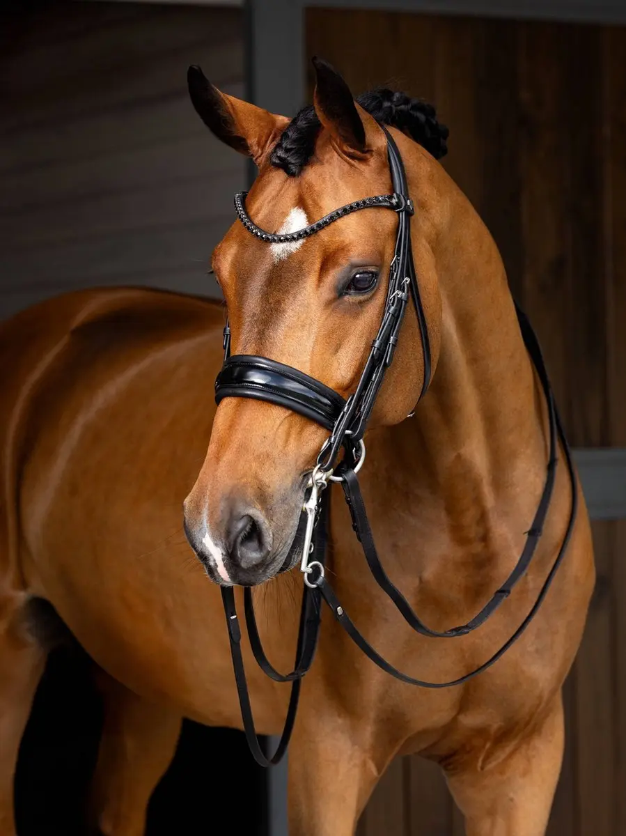 LeMieux Kudos Stang & Trens Full - Zwart