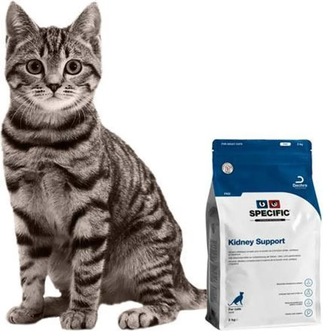 Specific FKD Kidney Support Kattenvoer - 6 kg