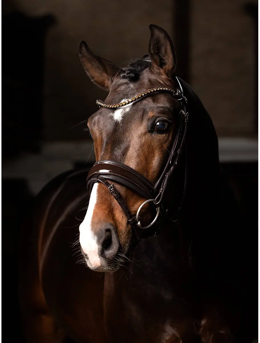 LeMieux Kudos Patent Dressage Hoofdstel