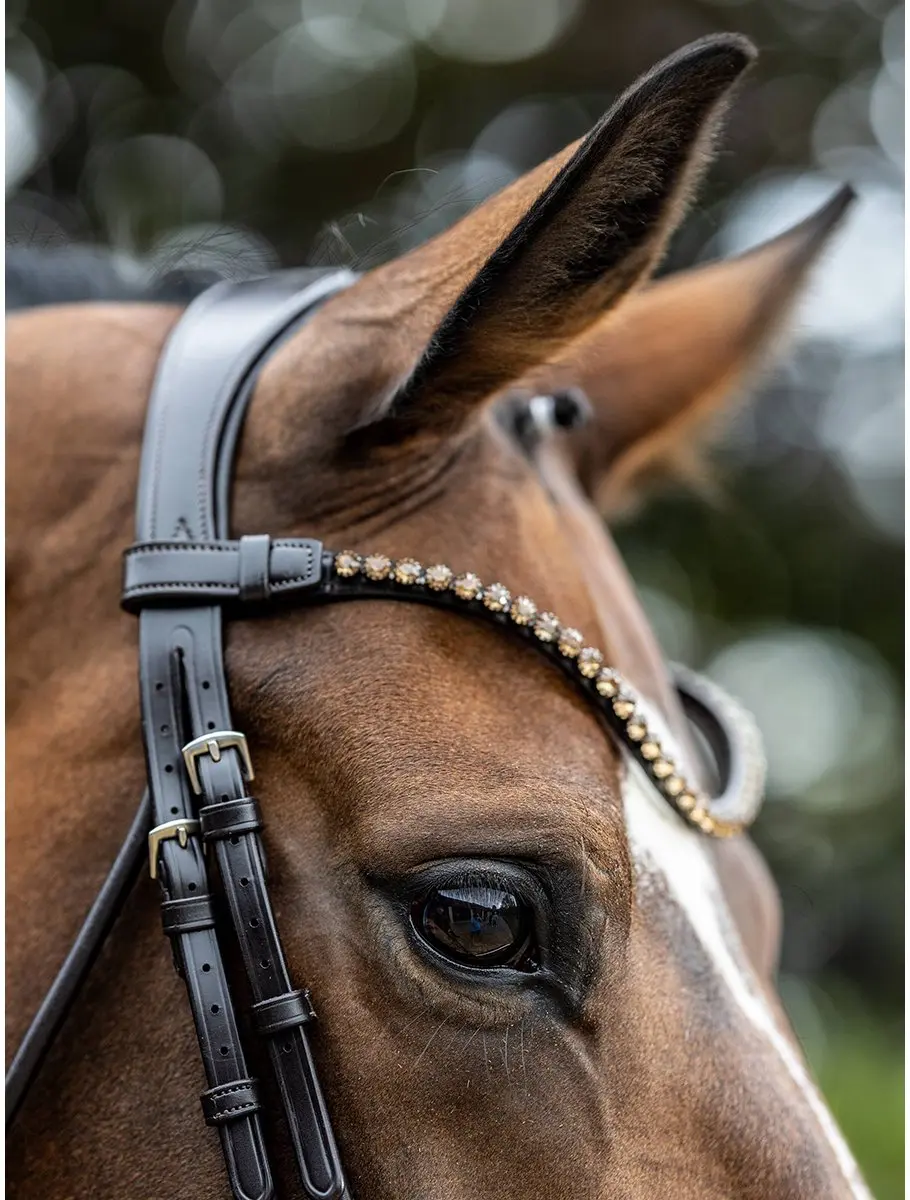 LeMieux Kudos Patent Dressage Hoofdstel - Cob