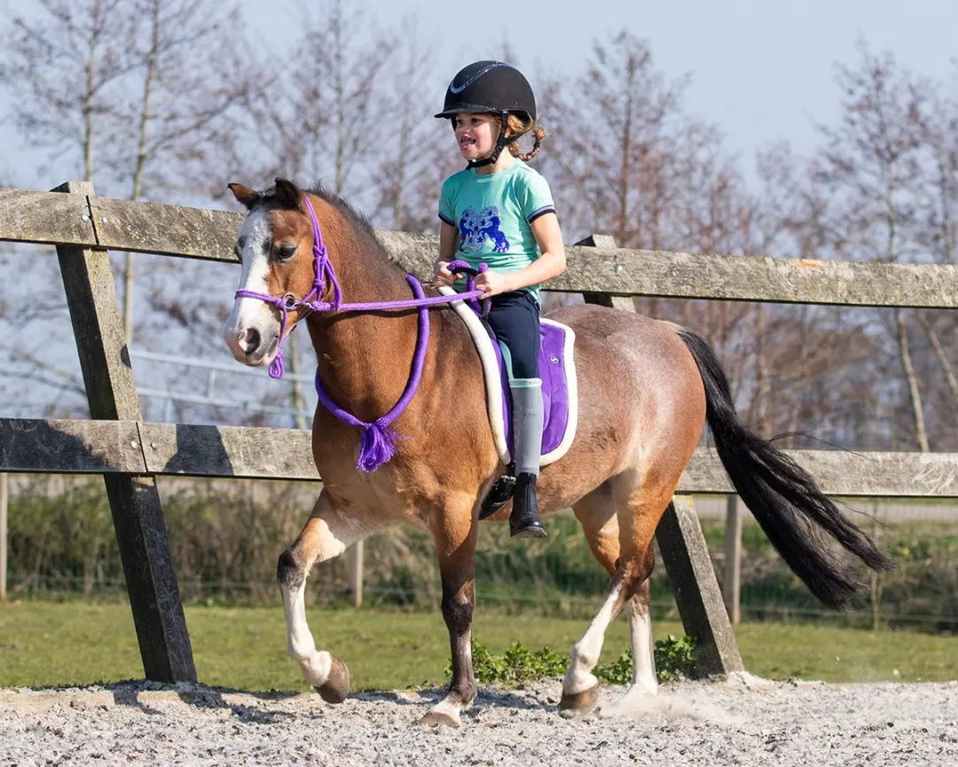 QHP Bareback Pad Full - Zwart
