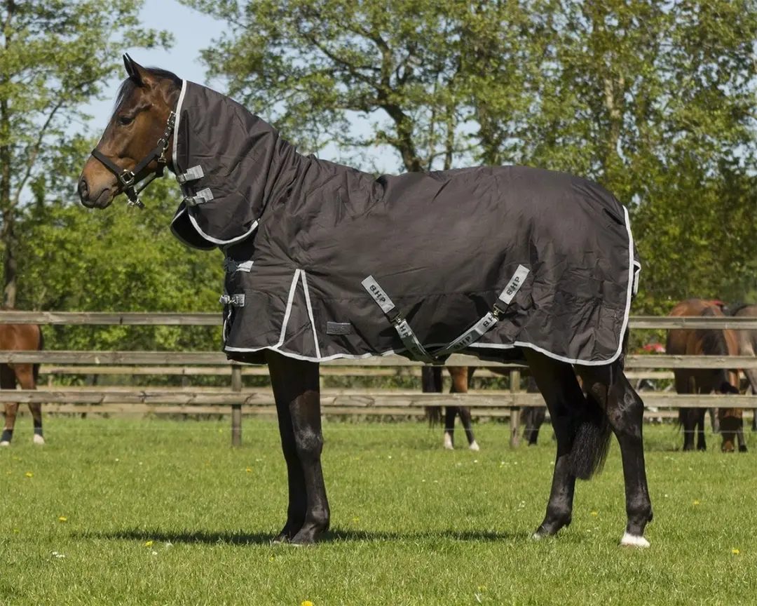 QHP Turnoutdeken Vaste Hals 300g - 185cm - Navy