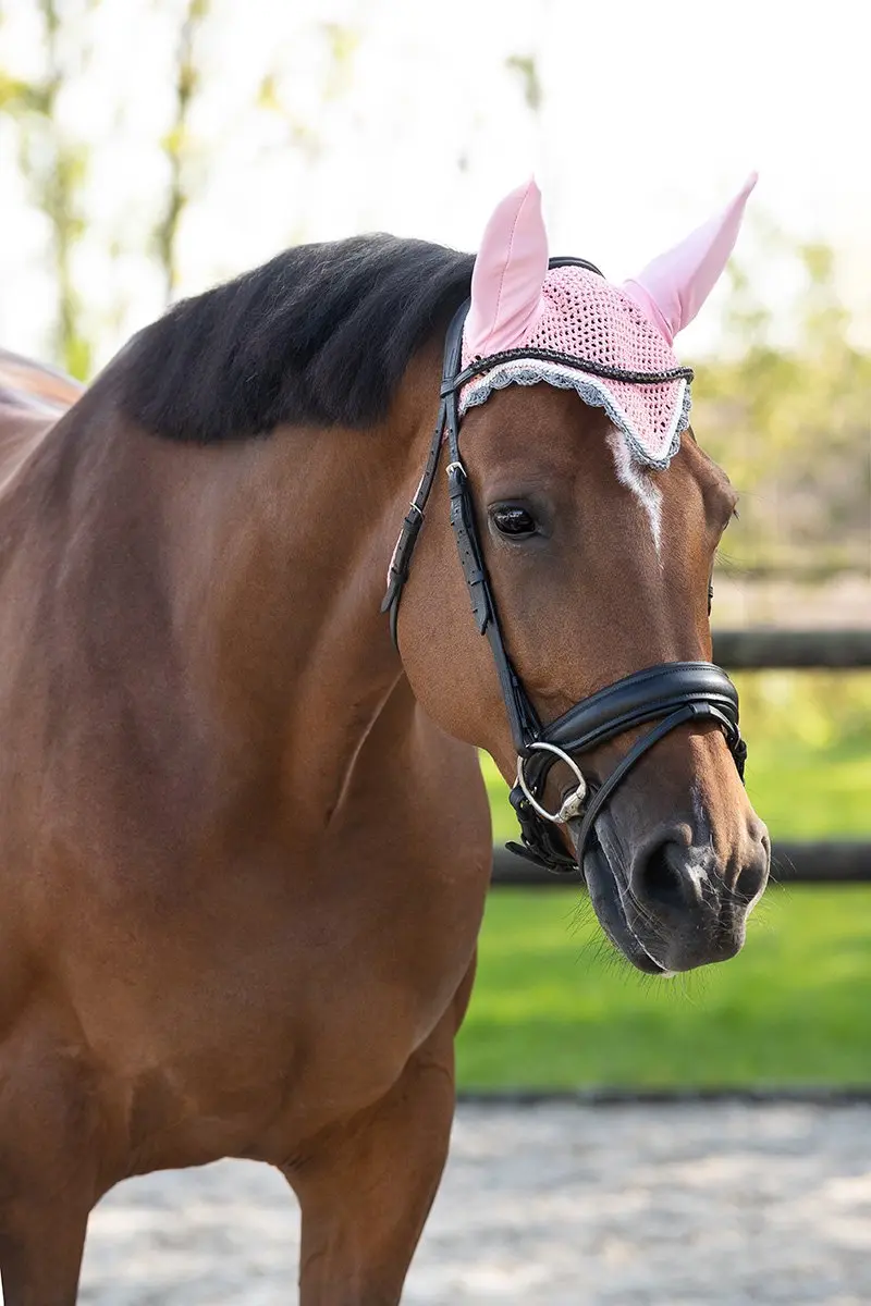Qhp Oornetje Qhp Color Roze
