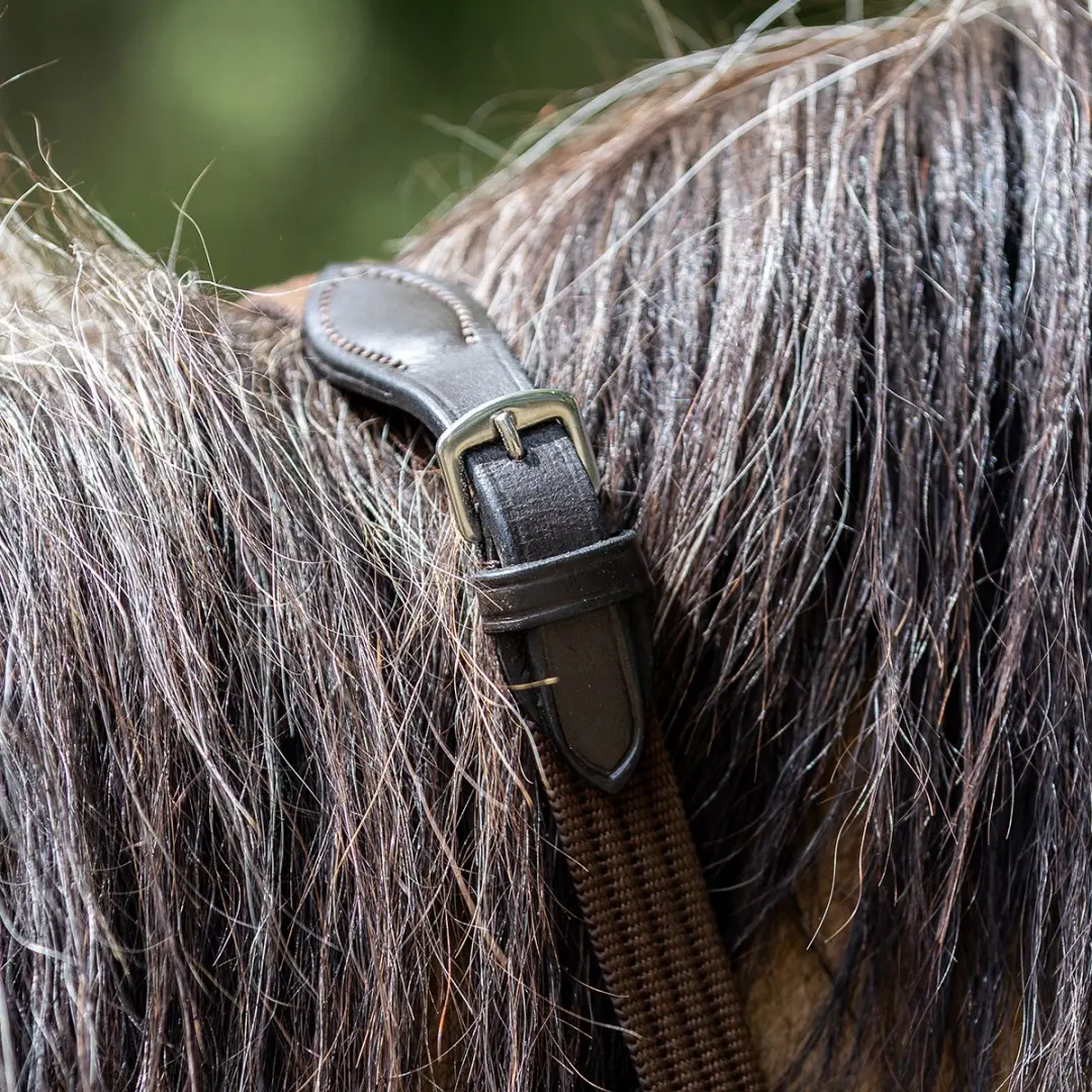 Horsegear Springteugels Full - Bruin