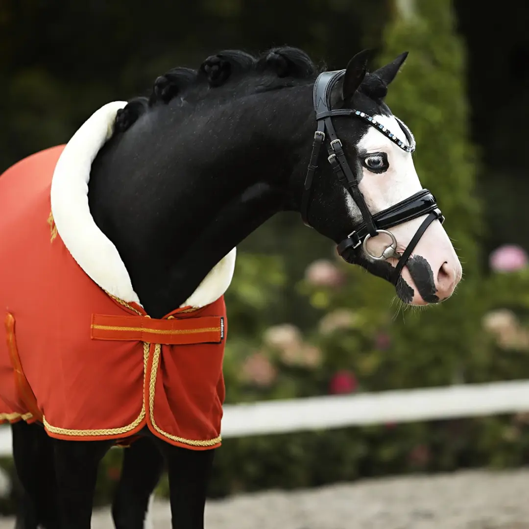 Horsegear Hglyx Mini Zweetdeken 80/105 - Middenoranje