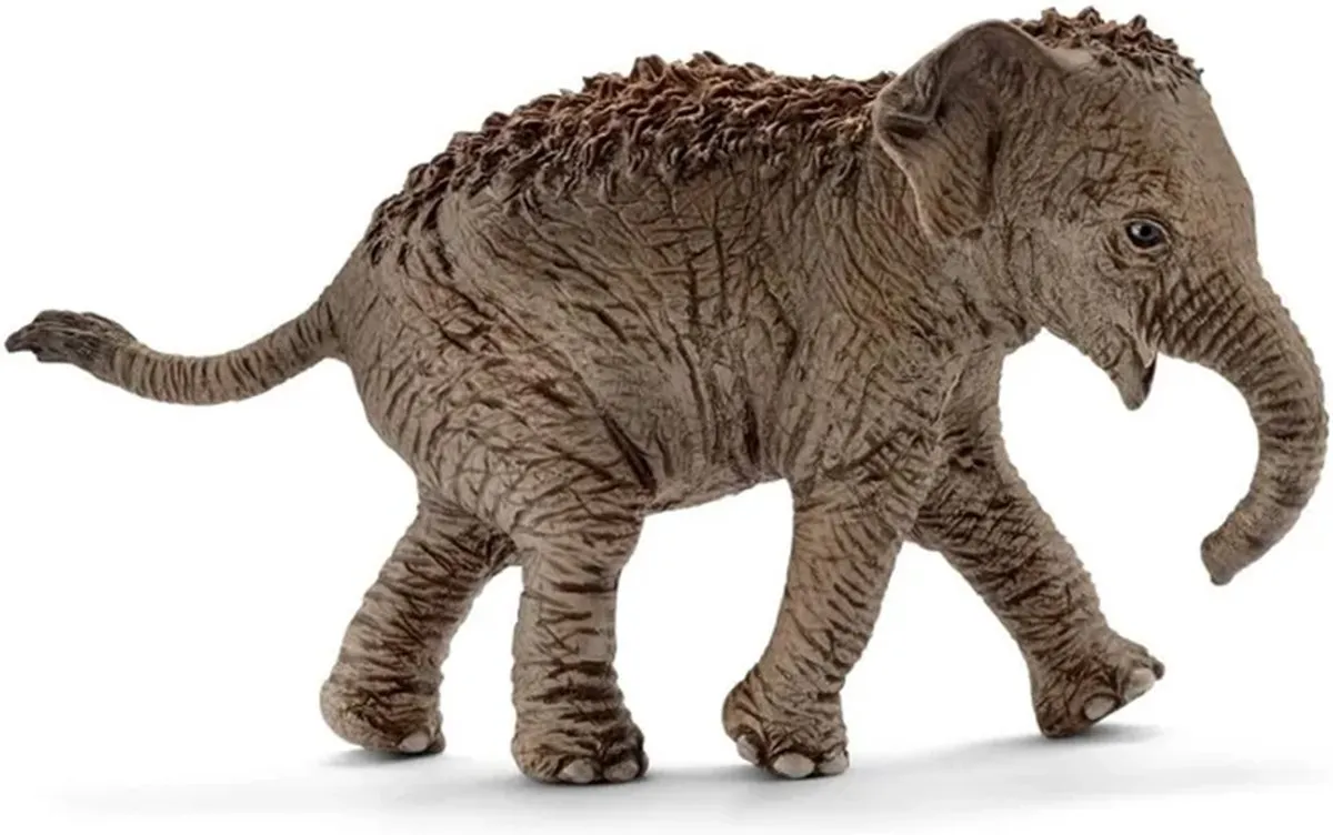 Schleich Wild Life Startset Azië - 4 Figuren 3+ - afbeelding 6 van 6