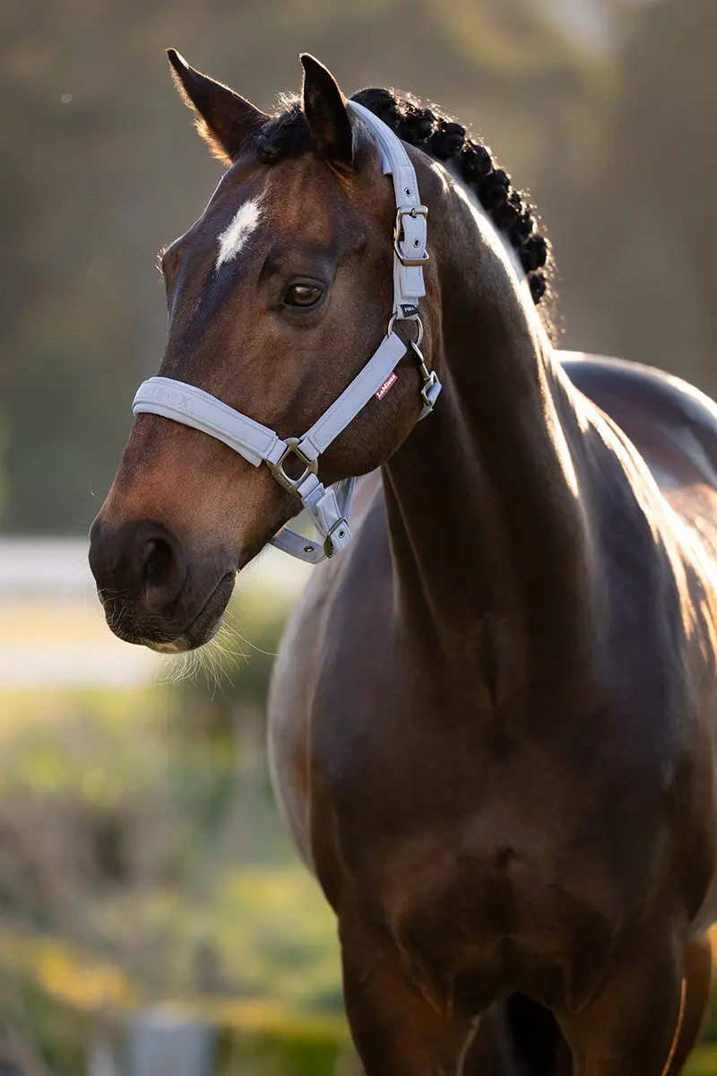 Lemieux Halster Lemieux Essence Lichtblauw