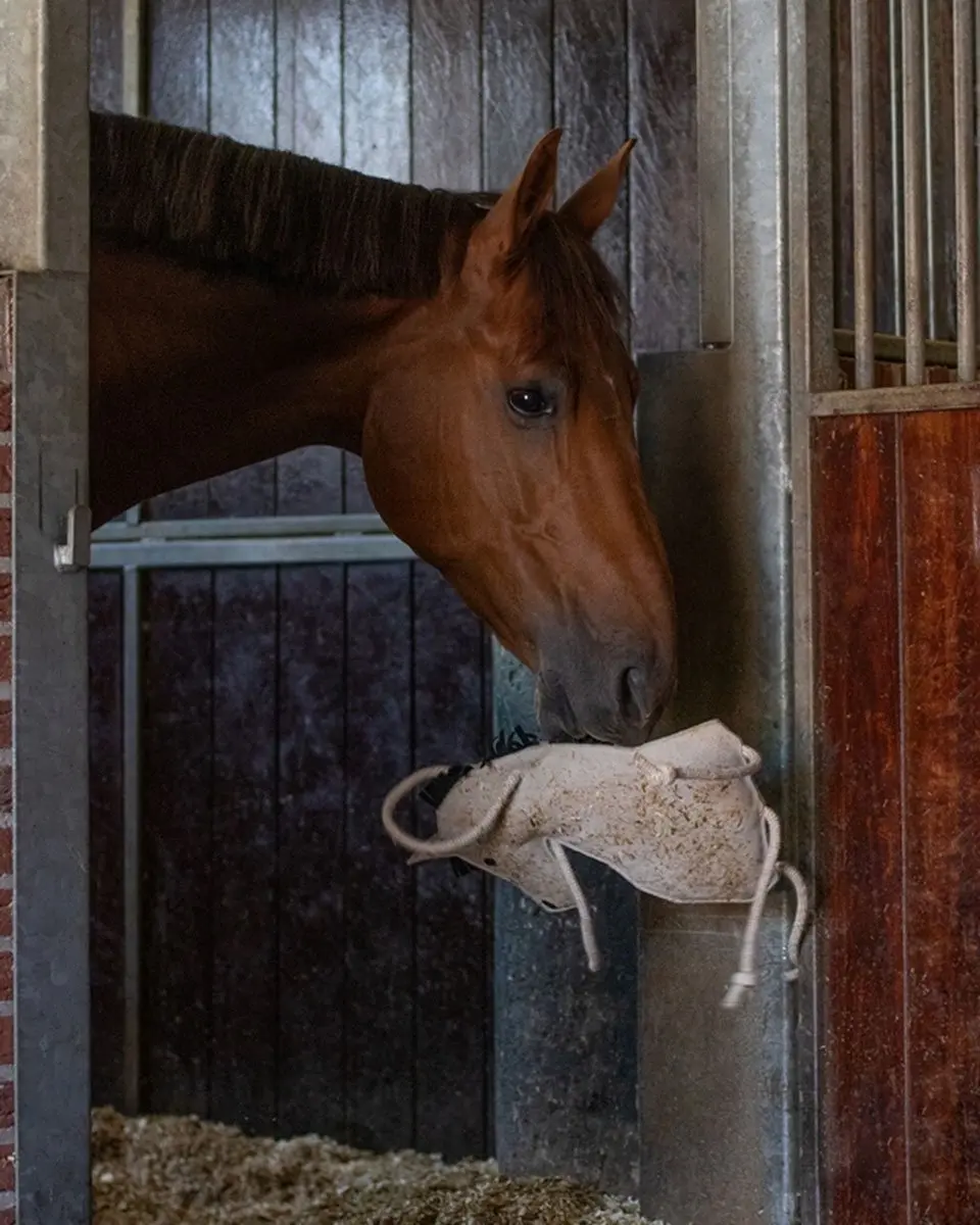 QHP Paardenspeeltje Stalmaatje Beige