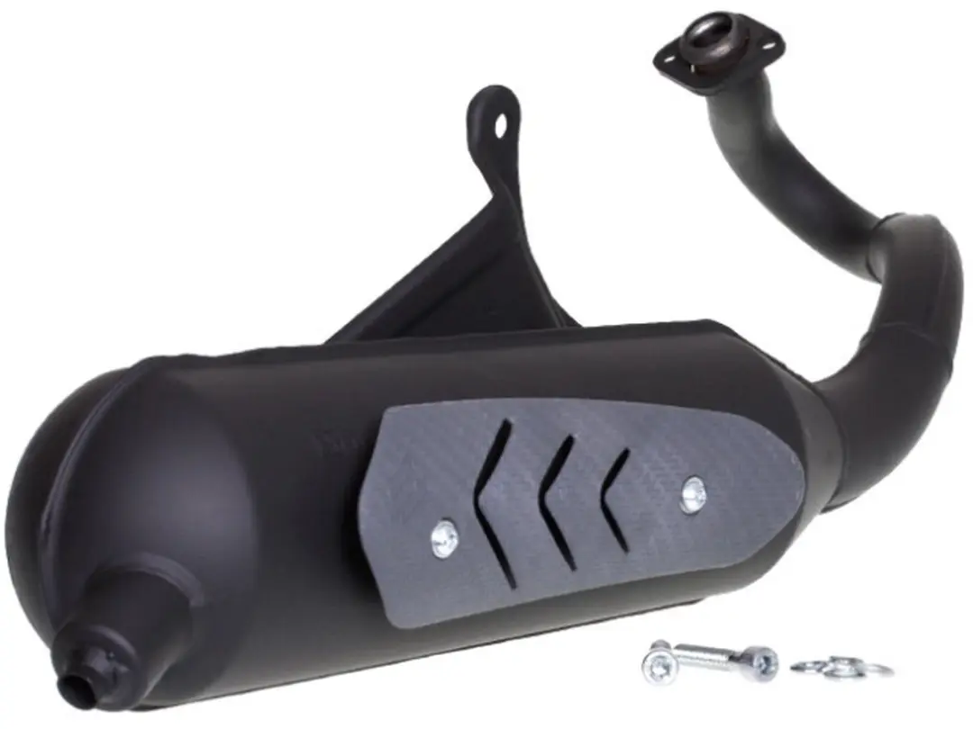 Pot d échappement Polini pour Scooter Piaggio 50 Zip 2T Avant 2020 200.0308 Neu