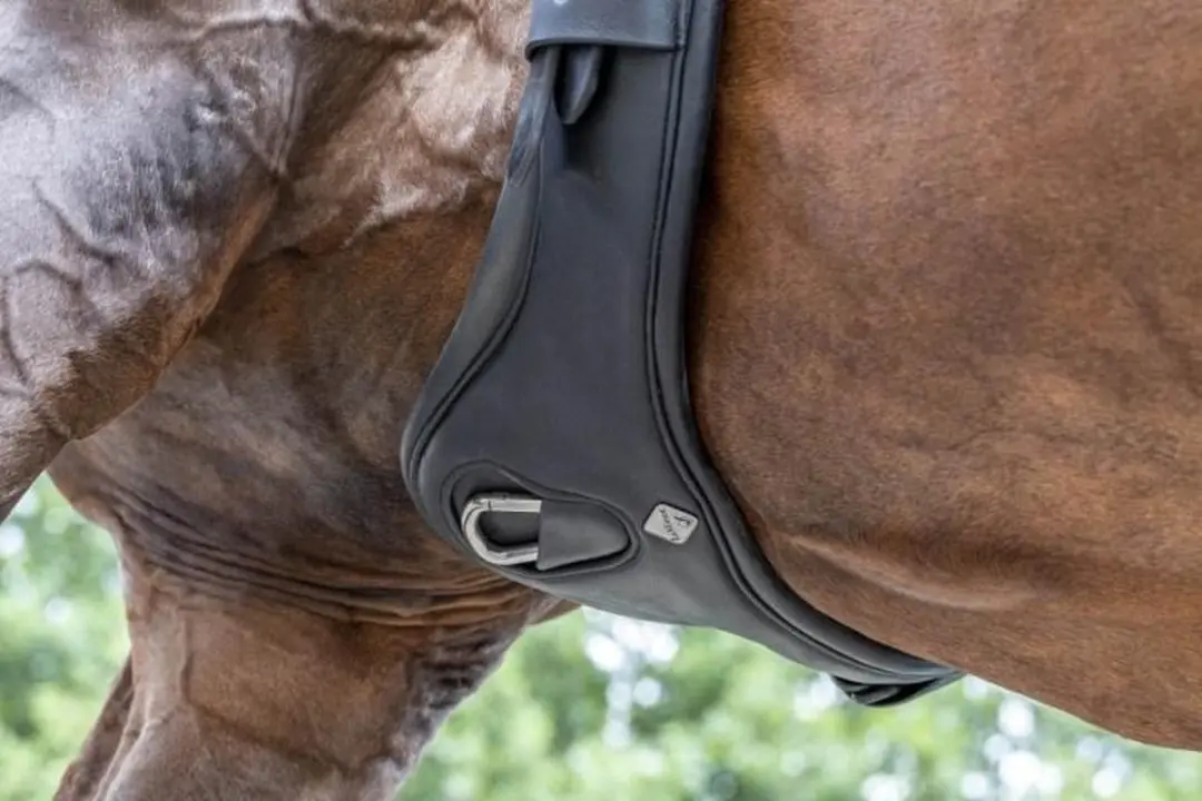 Lemieux Gel-Tek Mono Dressuursingel 65cm - Zwart