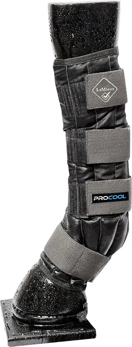 Lemieux Cold Water Boots M