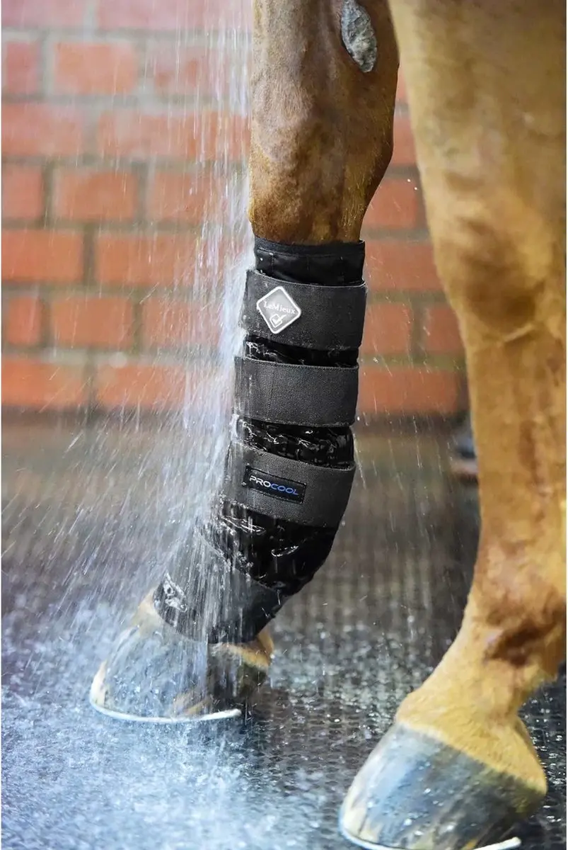 Lemieux Cold Water Boots M