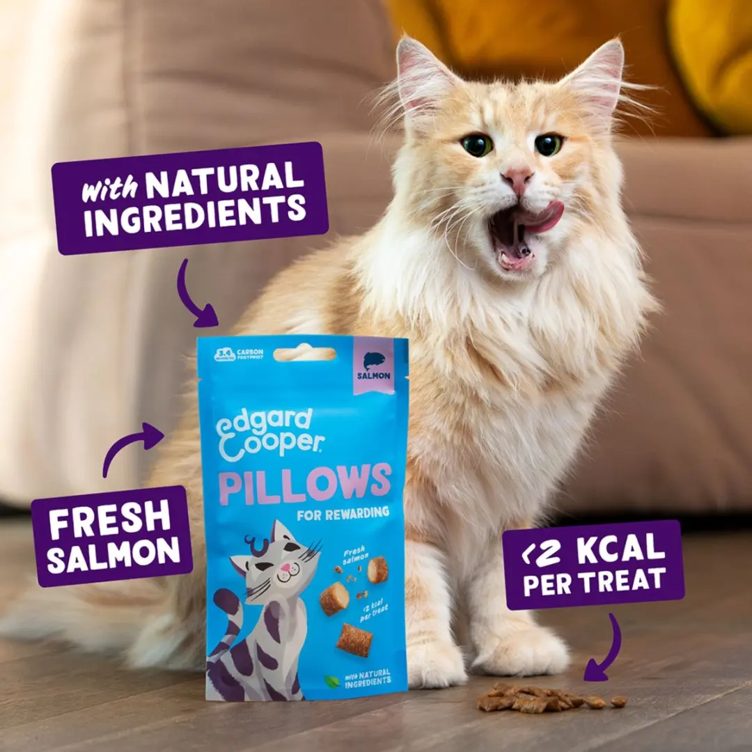 Edgard & Cooper Pillows Zalm Kattensnoepjes 240g