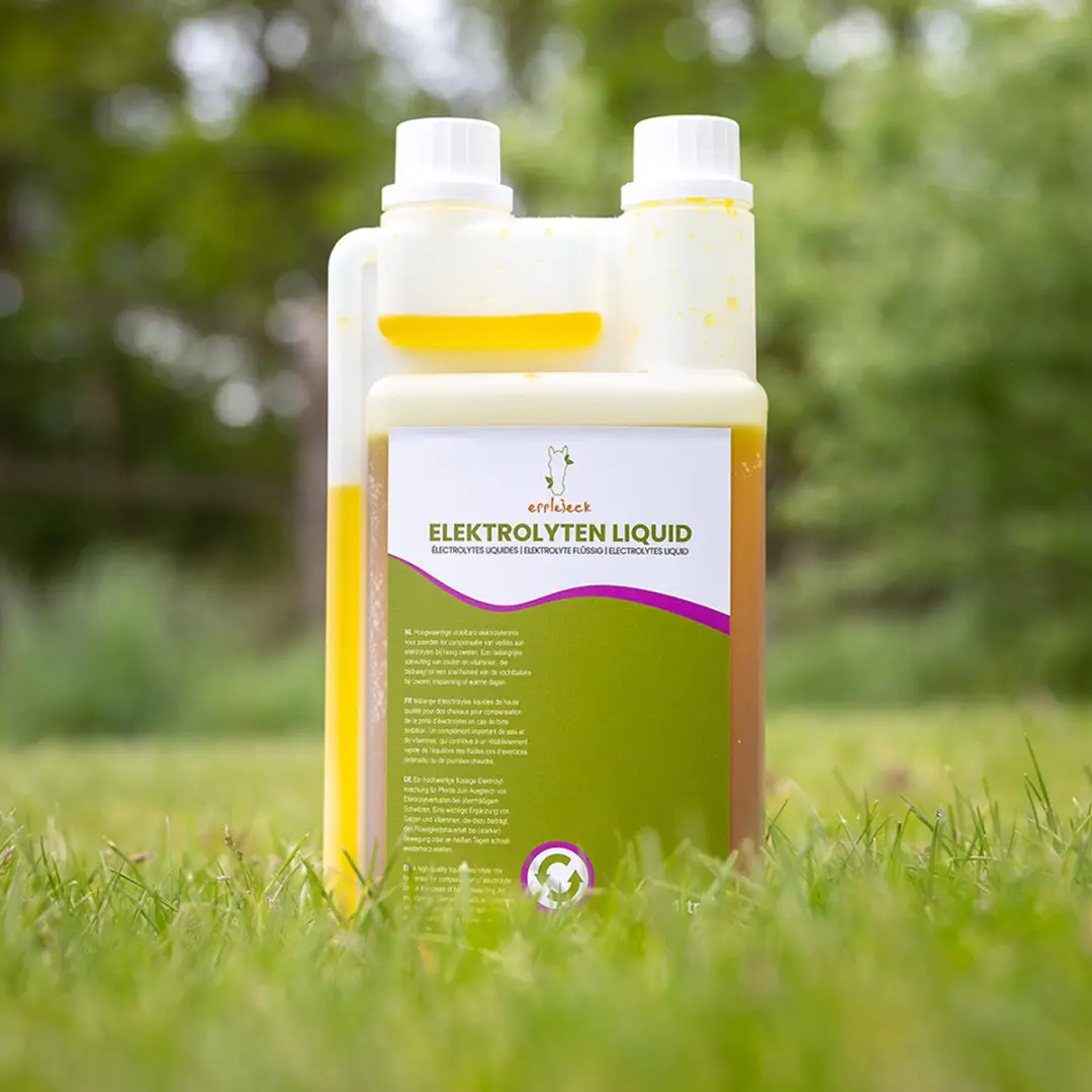 Epplejeck Elektrolyten Liquid 1000ml - 2 Stuks