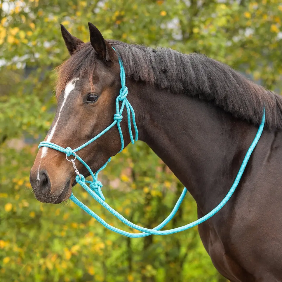 QHP Touw Halster SKY Full - Blauw