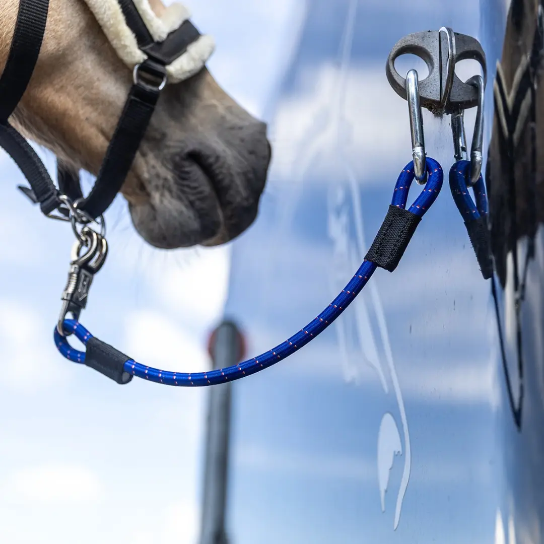 Horsegear Trailerlijn Horsegear Hgelastic Blauw