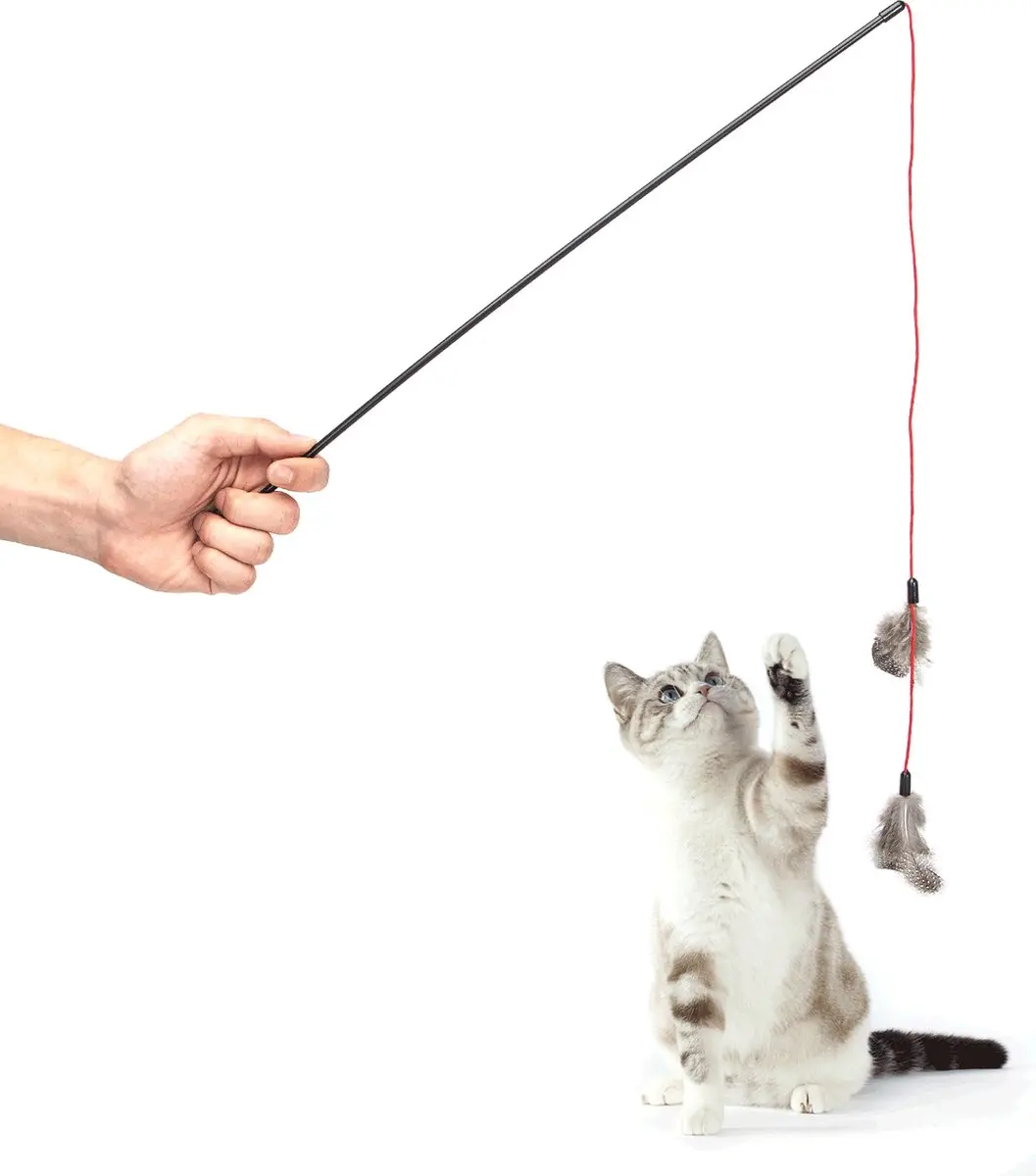 Nobleza Kattenhengel met Veren - 48cm