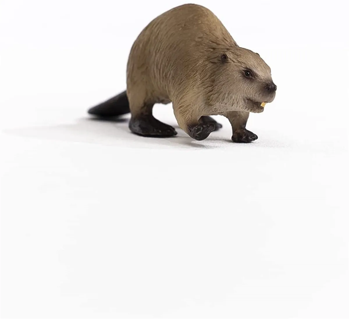 Schleich Bever 14855 - Bruin