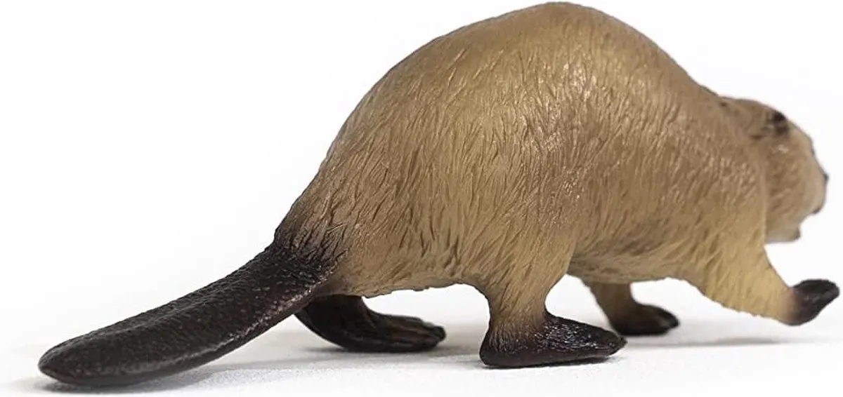 Schleich Bever 14855 - Bruin