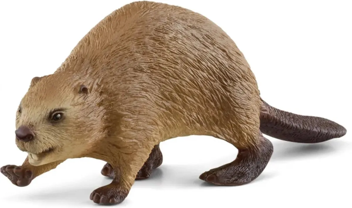 Schleich Bever 14855 - Bruin - afbeelding 6 van 6