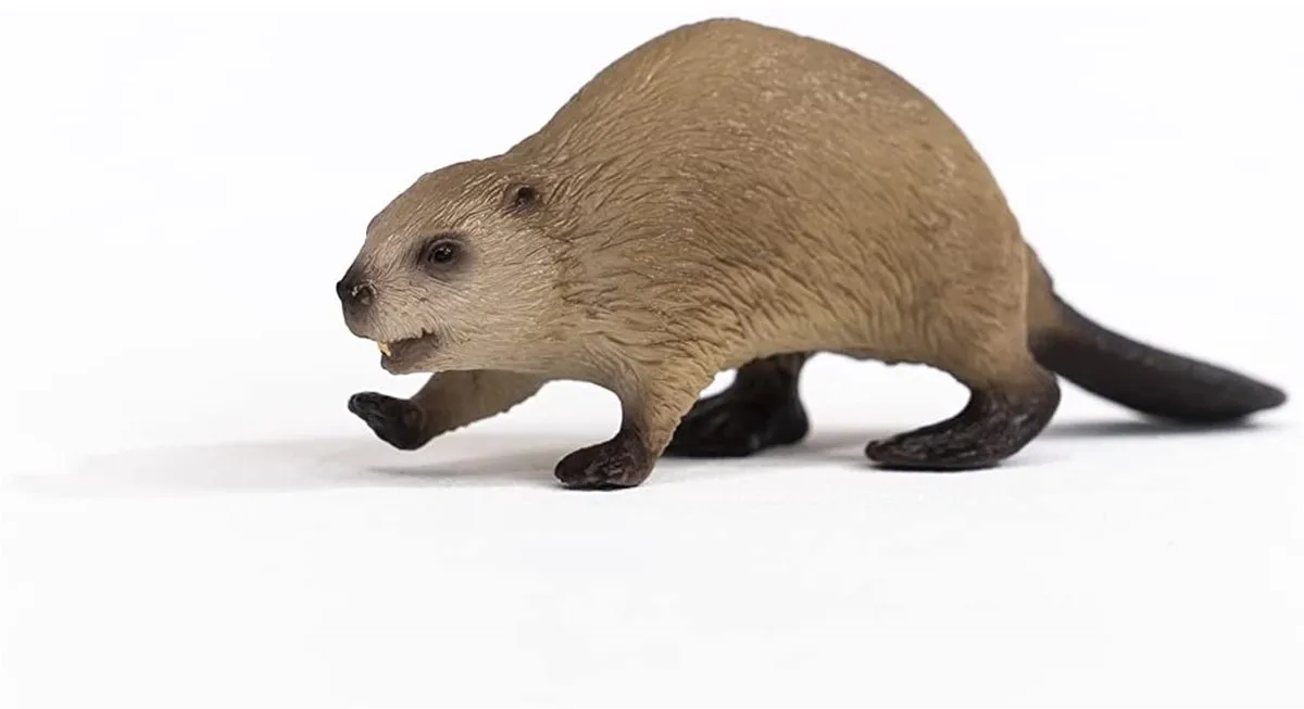 Schleich Bever 14855 - Bruin