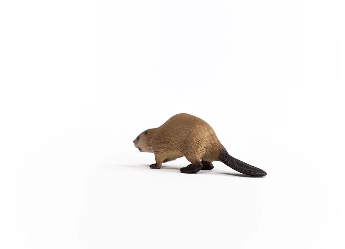 Schleich Bever 14855 - Bruin