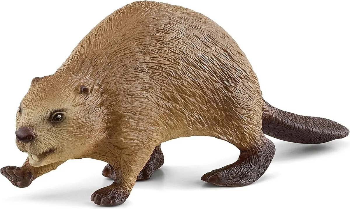 Schleich Bever 14855