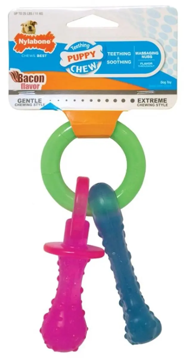 Nylabone Puppy Tandjes Krijgen Bot Bacon - 21,5 cm - Multi