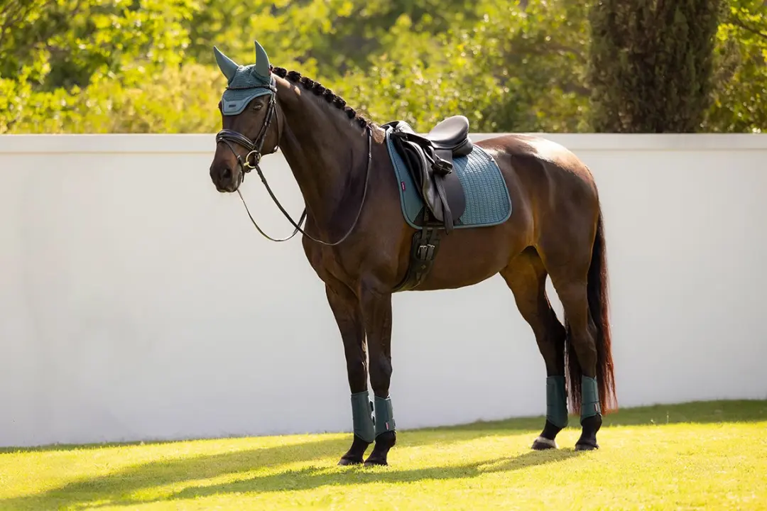 Lemieux Essence Dressuur Zadeldek Full - Turquoise