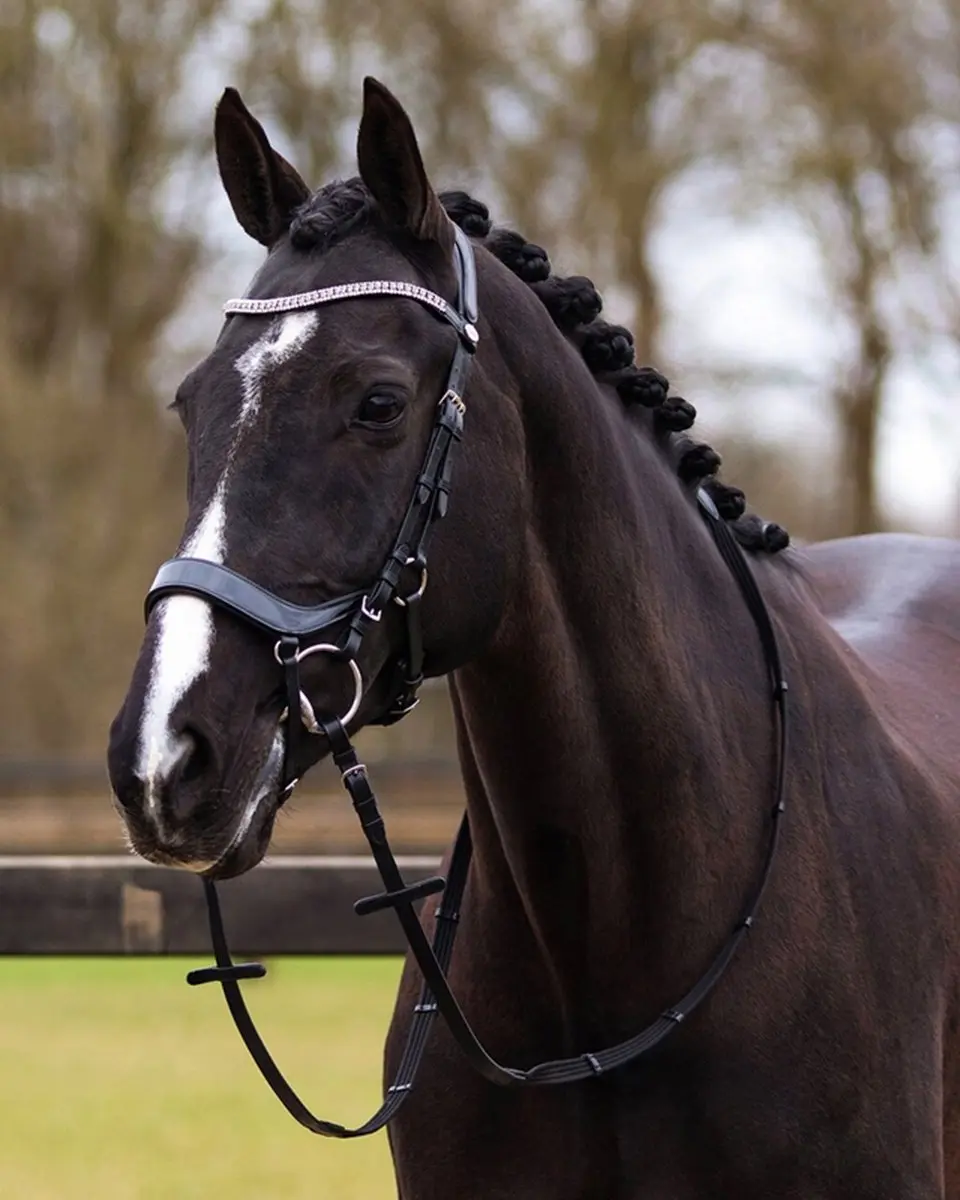 QHP Hoofdstel Eris Cob - Zwart
