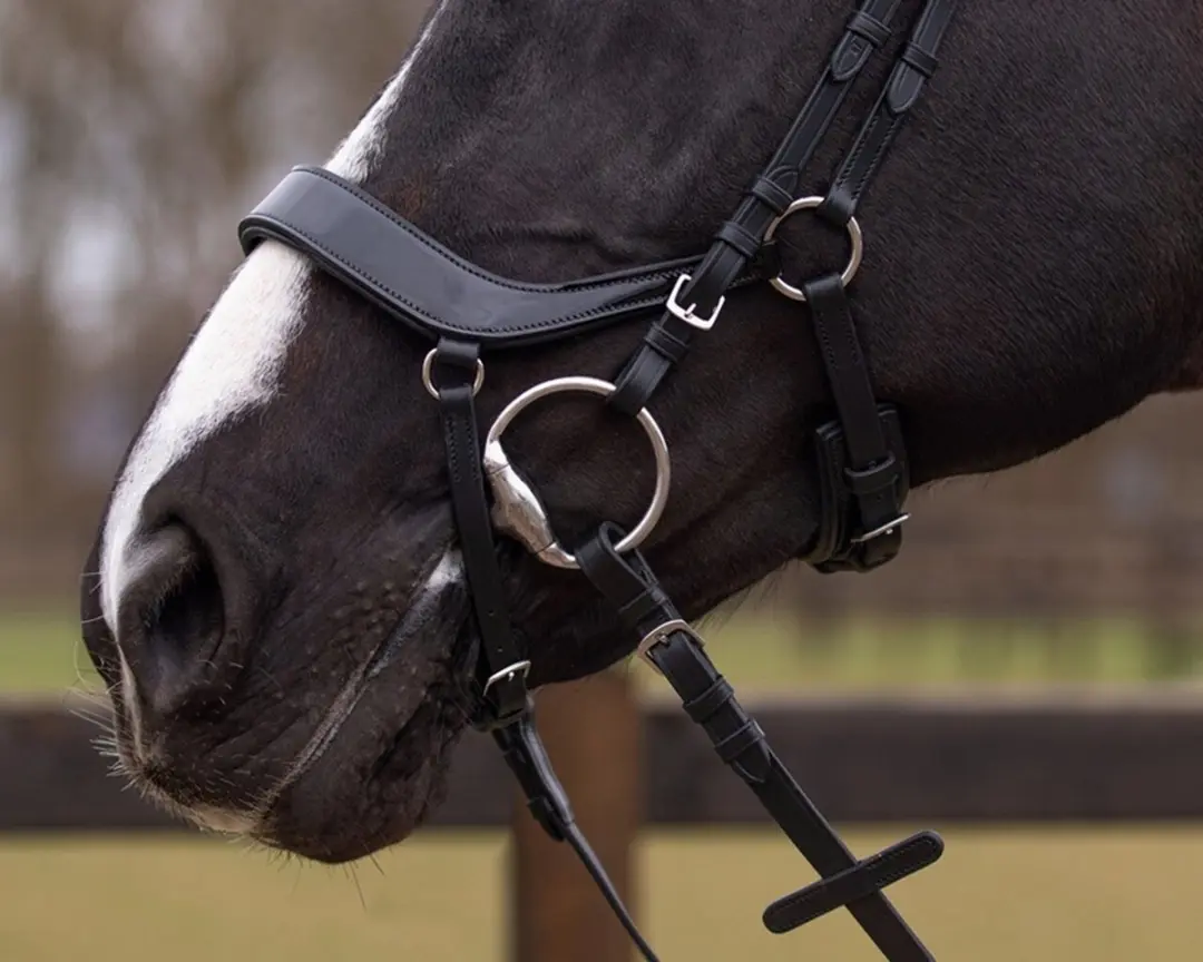 QHP Hoofdstel Eris Cob - Zwart