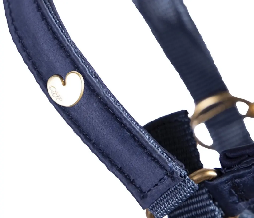 QHP Veulensokken Lily - Donkerblauw