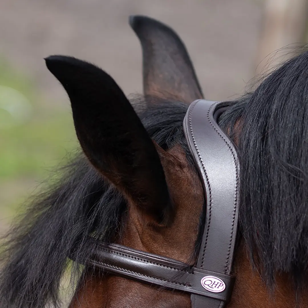 QHP Kaptoom Leder Extra Groot X-Full - Bruin - afbeelding 6 van 6