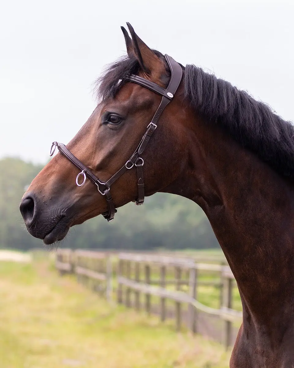 QHP Kaptoom Leder Extra Groot X-Full - Bruin