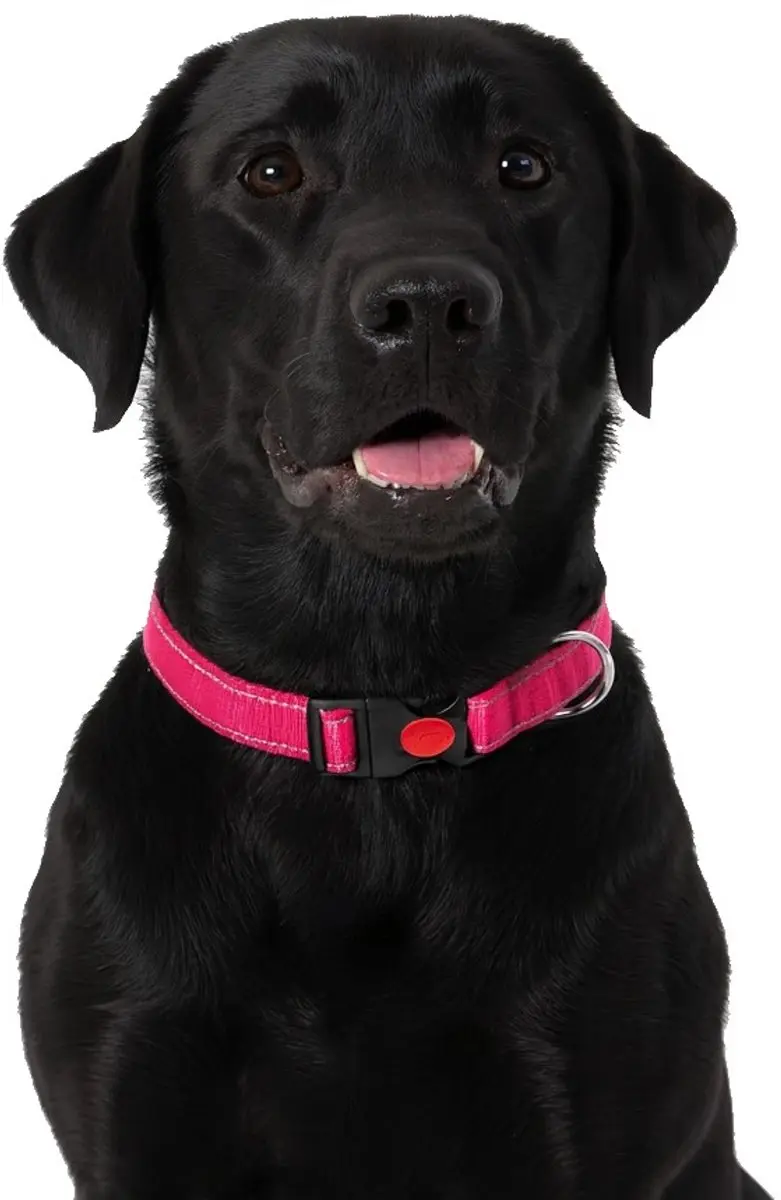 Nobleza Hondenhalsband Reflecterend Roze