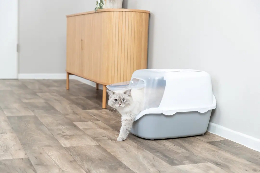Trixie Kattenbak Vico Open Top Met Kap 56x40x40cm - Lichtgrijs/Wit