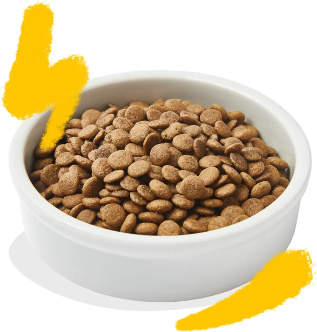 Edgard & Cooper Kattenvoer Adult Kalkoen Kip 325g - 6 Stuks