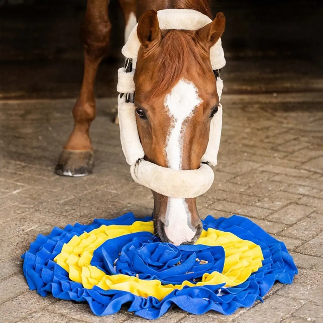 QHP Snuffelmat voor Paarden - Geel-blauw