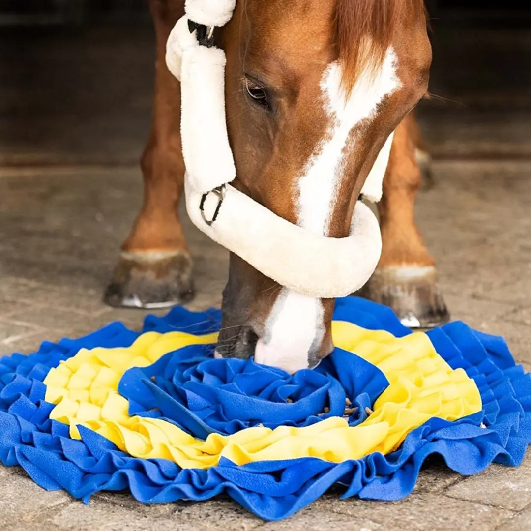 QHP Snuffelmat voor Paarden - Geel-blauw