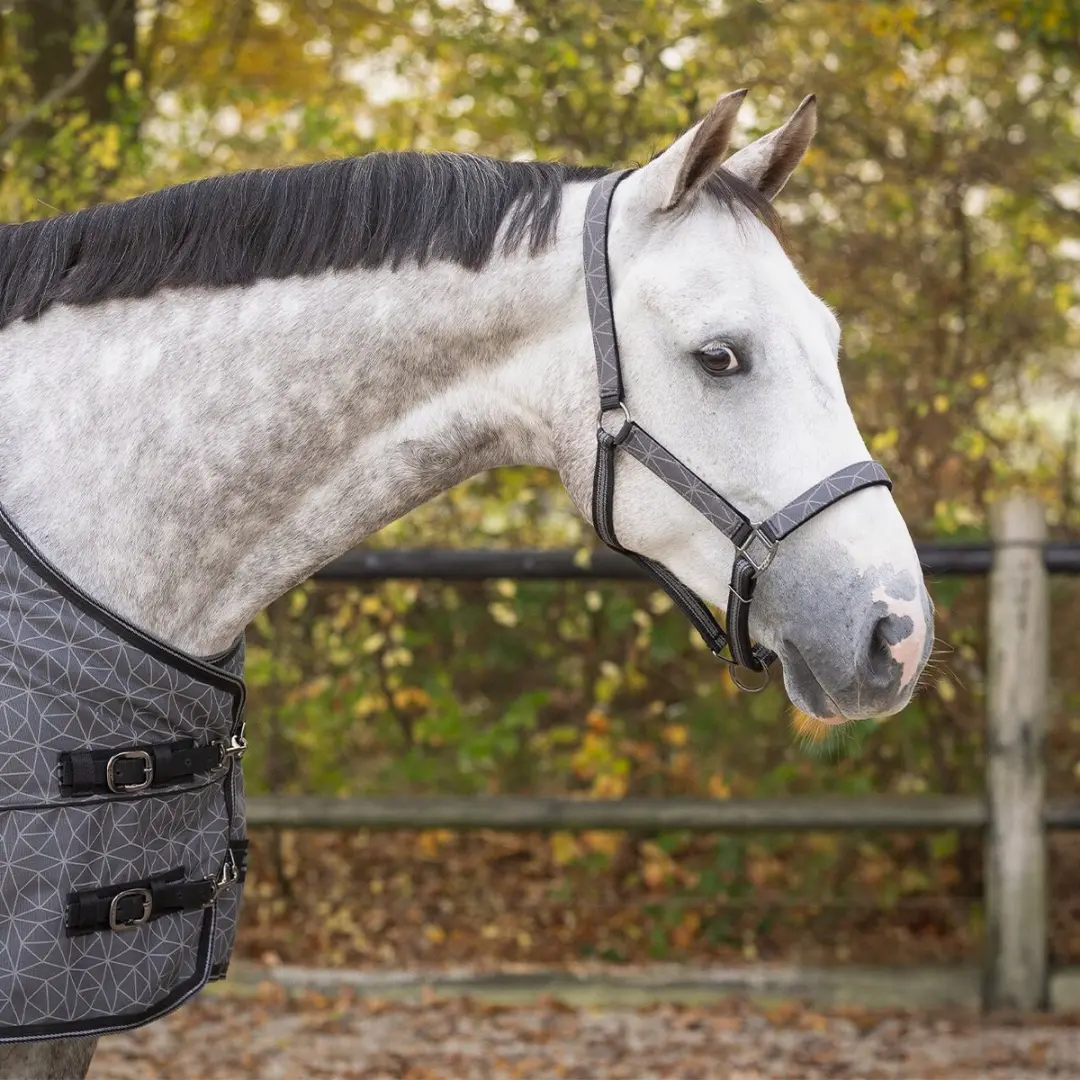 QHP Halster met Lijn Grijs Reflecterend Pony - afbeelding 2 van 2