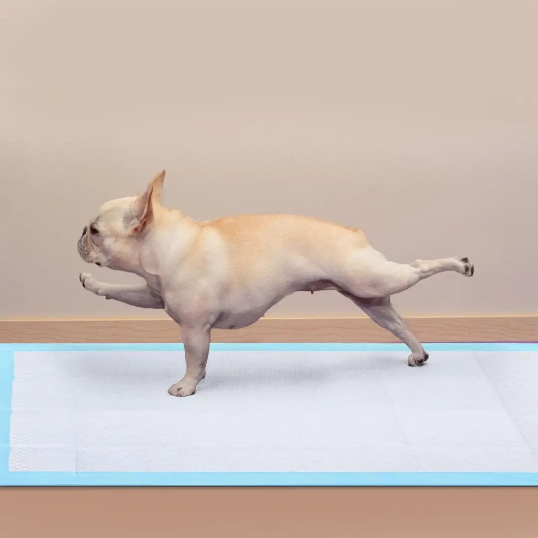Nobleza Puppy Training Pads 80x90cm - 10 Stuks - afbeelding 6 van 6