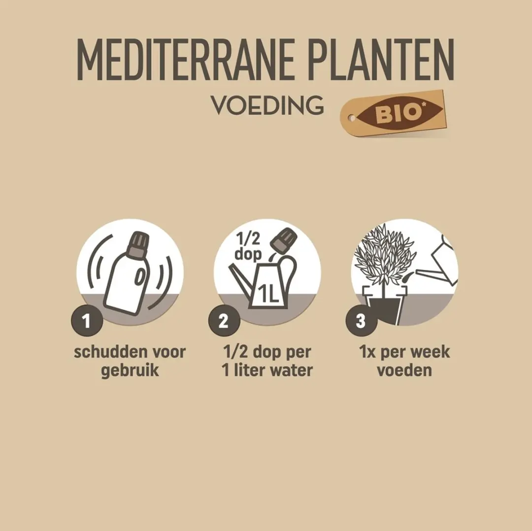 Pokon Bio Mediterrane Plantenvoeding 500ml - Olijfboom/Citrus - afbeelding 3 van 6
